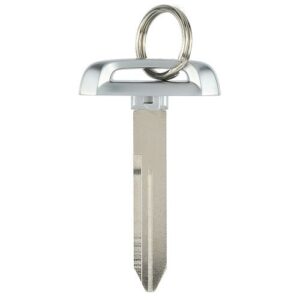 2019 - 2021 Ram Pickup Emergency Key - OEM