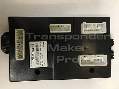 TMPro SW 217 - LDV vans BCM UAES