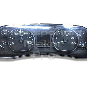 TMPro SW 225 - Ford Cargo trucks dashboard type 2